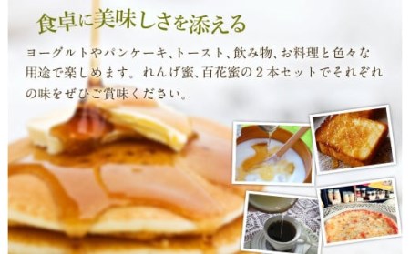 純国産 はちみつ 2本セット 計360g（極上れんげ蜜・純粋百花蜜）