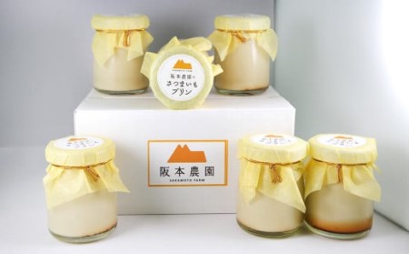 濃厚さつまいもプリン 6個入り 洋菓子 スイーツ デザート