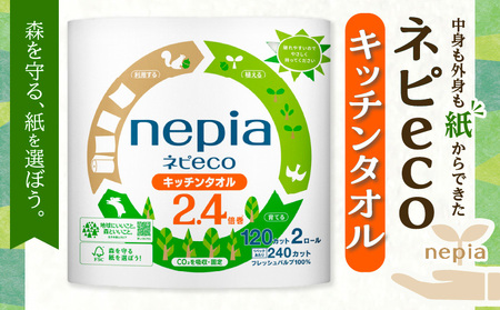 【A030】 紙のまち 苫小牧 ネピeco キッチンタオル 2ロール 24パック 紙包装 T001-007 日用品