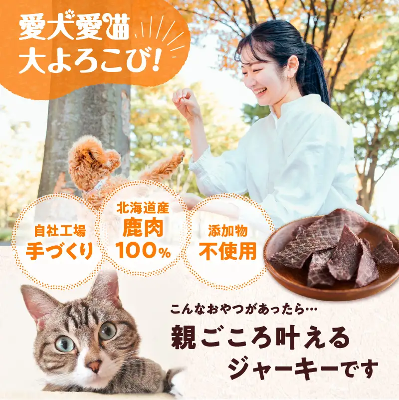【5営業日以内に発送】【 アスランエゾベニソン ジャーキー 40g×5パック 】 T012-011 ペット用品