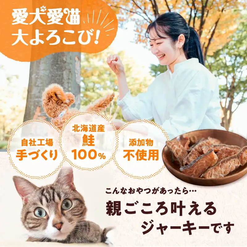 【5営業日以内に発送】【 アスランエゾベニソン 鮭ジャーキー 40g×3パック 】 T012-012 ペット用品