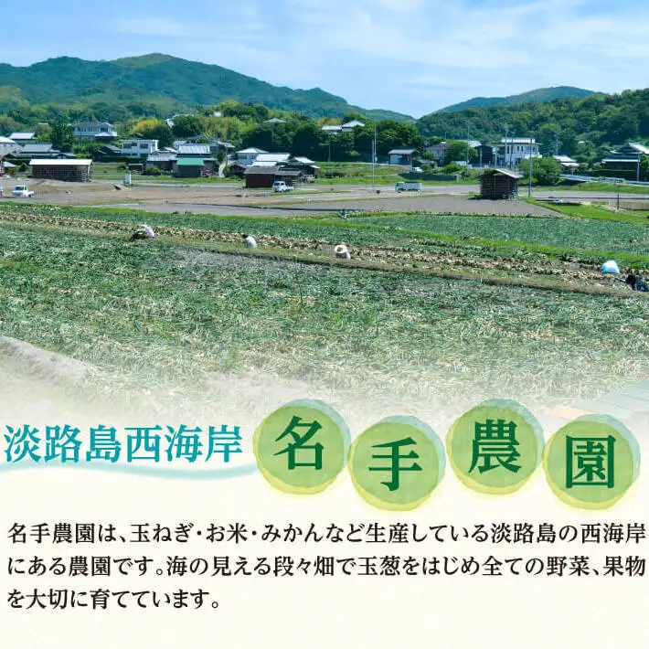 【定期便】名手農園の淡路島特産玉ねぎ(5kg)とお米(3kg)の10ヶ月コース