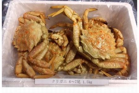 【北海道根室産】クリガニ6～７尾(計1.5kg) A-57022