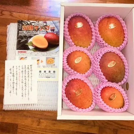 【2027年6月から順次発送】田場農園の栽培期間中農薬不使用マンゴー2kg(5～6玉)【配送不可地域：離島】【1386744】