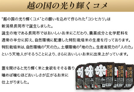 75-PG48F新潟県長岡産コシヒカリ パックご飯150g×48個（特別栽培米）