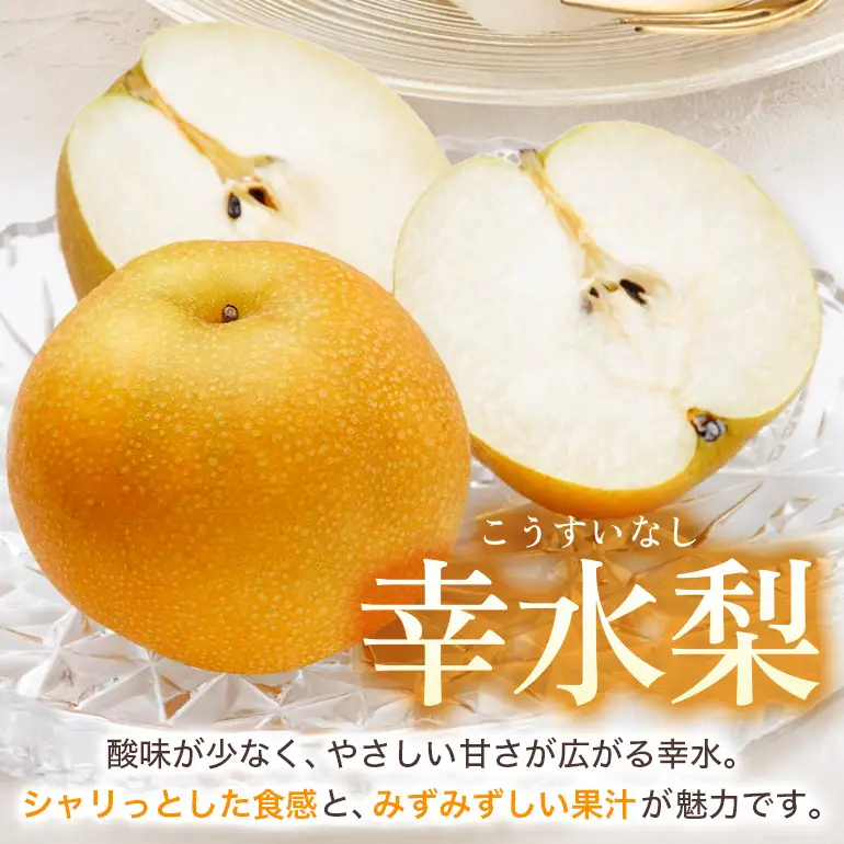 【ふるさと納税】【先行予約】幸水梨  5kg 10玉～14玉 なし【2026年8月上旬ごろ出荷開始予定】