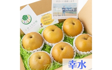 【ふるさと納税】【先行予約】しゅうたの畑 あふれる果汁 幸水梨 6玉から7玉 【2026年7月下旬〜8月上旬より順次発送予定】 梨 なし ナシ 幸水 こうすい フルーツ 果実 果物 常温 送料無料 福岡県 うきは市