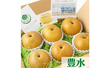 【ふるさと納税】【先行予約】しゅうたの畑 あまーい♪ 豊水梨 6玉から7玉 【2026年8月下旬より順次発送予定】 梨 なし ナシ 豊水 ほうすい フルーツ 果実 果物 常温 送料無料 福岡県 うきは市