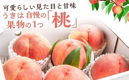 【先行予約】 道の駅うきは 桃 6玉から7玉 （約2kg） 【2026年7月下旬から2026年8月上旬 出荷予定】 もも モモ 果物 くだもの フルーツ 果実 お取り寄せ 福岡県 うきは市