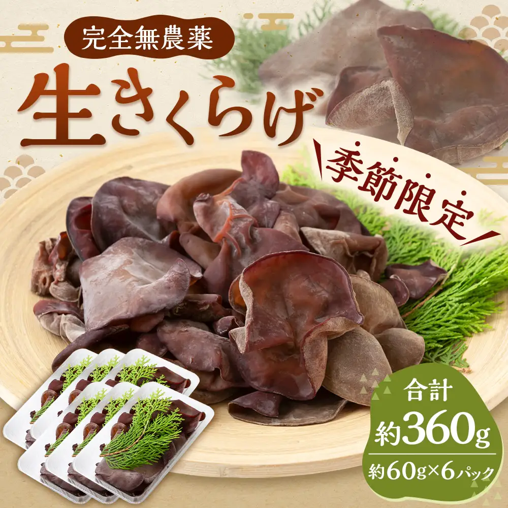 ＜非公開＞【先行予約】UIC 季節限定！農薬不使用！生きくらげ (約60g×6パック) 2026年8月下旬から11月上旬 出荷予定