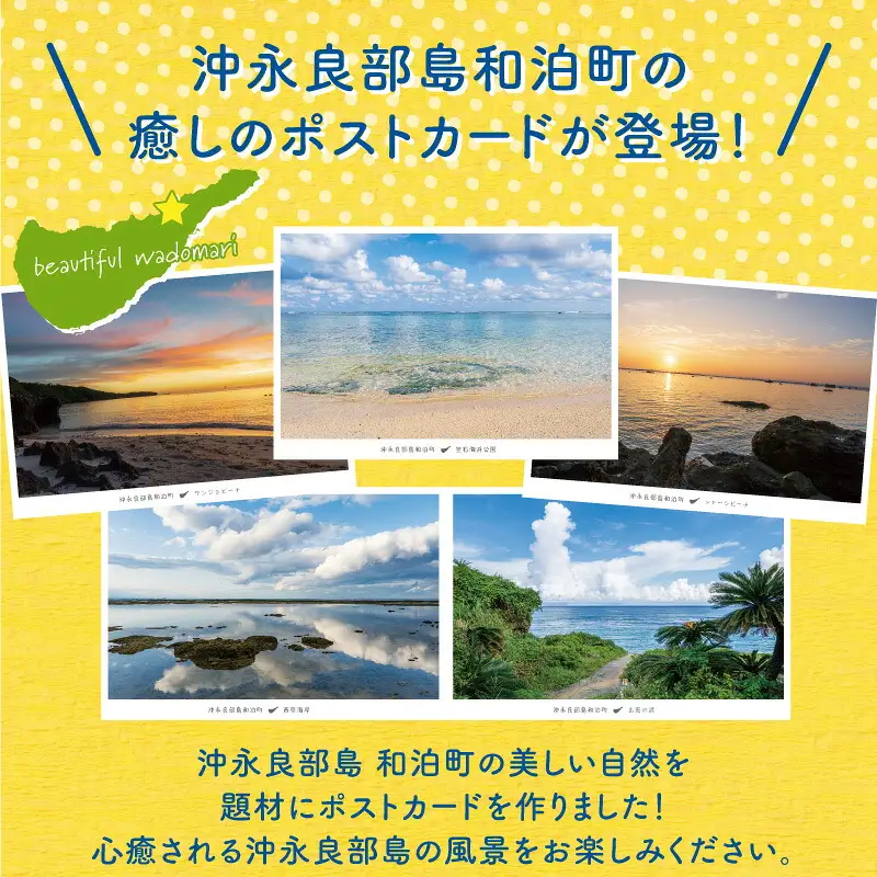 花と癒しの島！沖永良部島オリジナルポストカード（風景編） W060-001u 雑貨 日用品