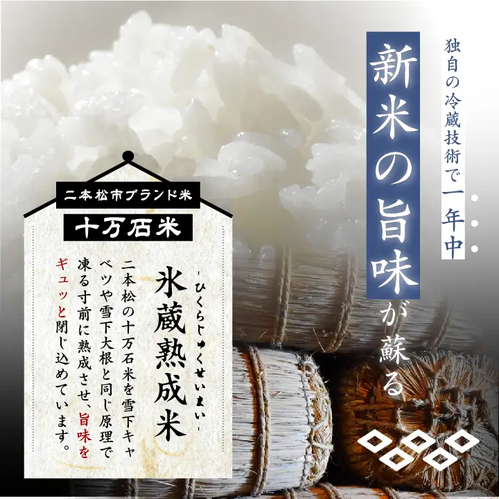米 令和7年産 コシヒカリ無洗米（伝統）1合×10袋【株式会社Y&Tカンパニー】