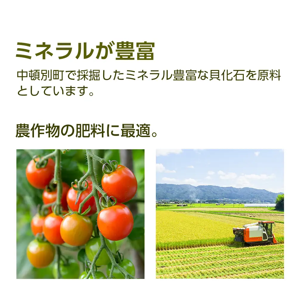 肥料 貝化石 20kg 1袋