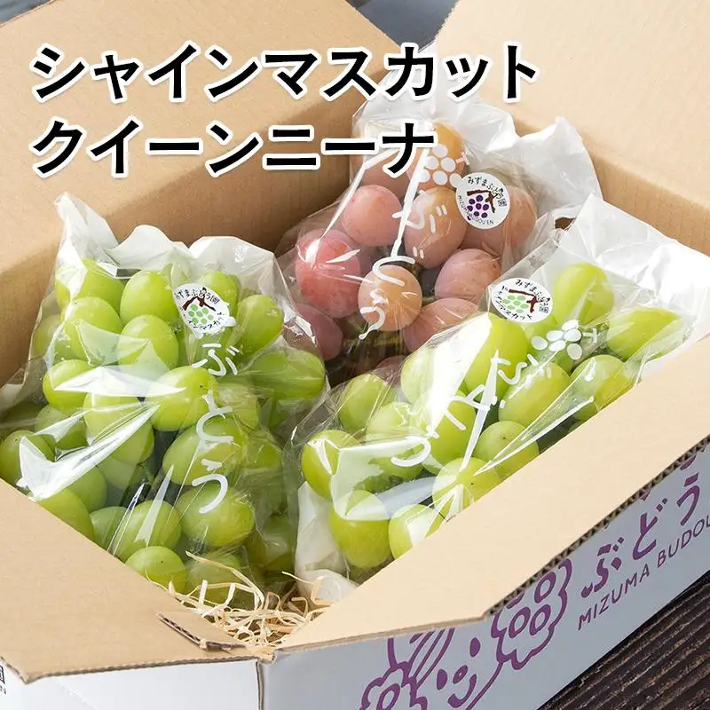シャインマスカット入り 完熟ぶどうお任せ詰め合わせセット 1kg 【水間ぶどう園】先行予約＜16-3a＞