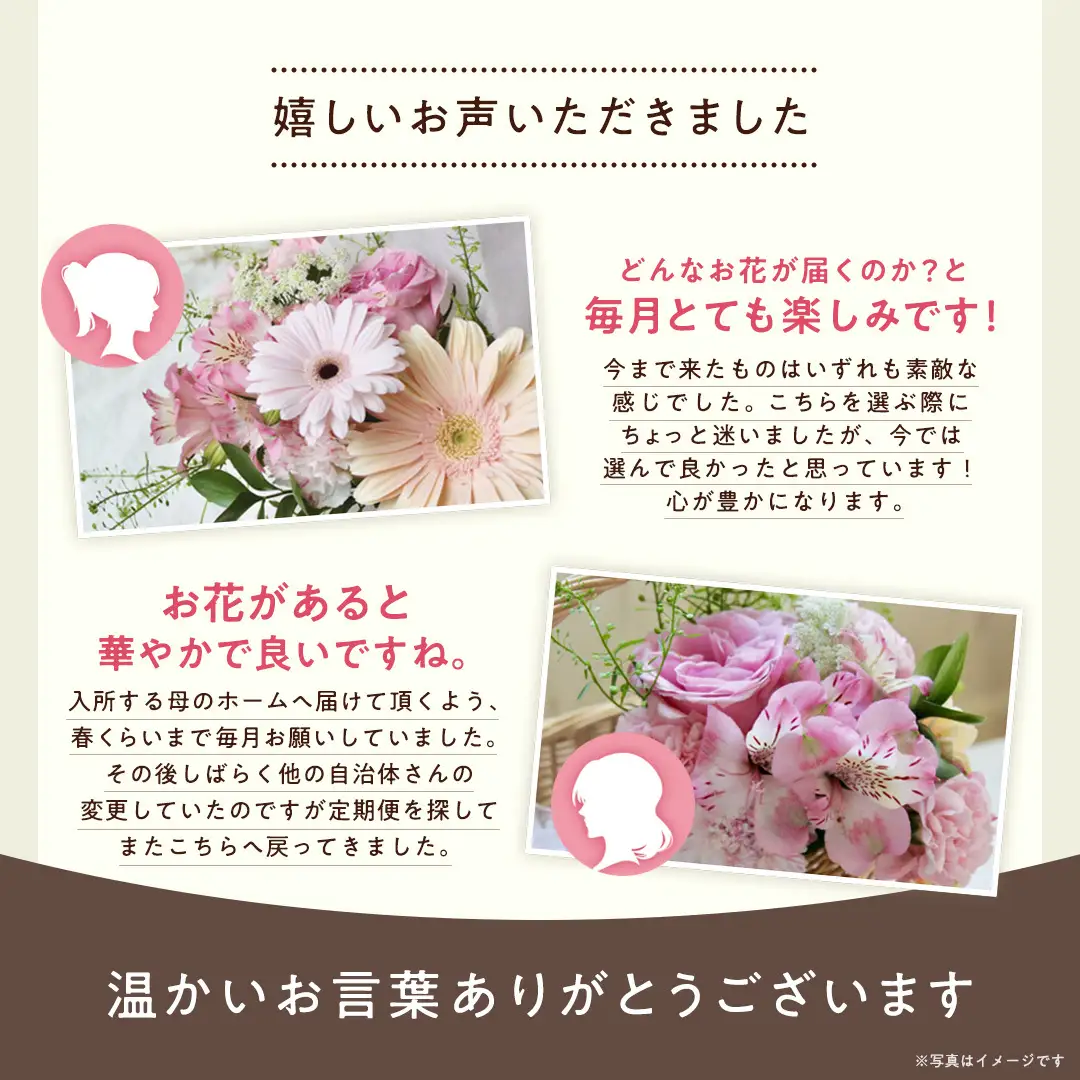 季節の フラワー アレンジメント 花 生花 お祝い 結婚祝い 誕生日 プレゼント ギフト フラワーギフト  [CY003sa]