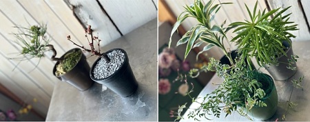 SL0220　【4回定期便】「季節の花や植物の定期便 んだの４」