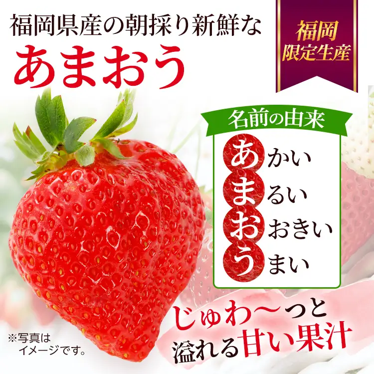 いちご あまおう 約270g×4パック 12月より順次発送 イチゴ 苺 果物
