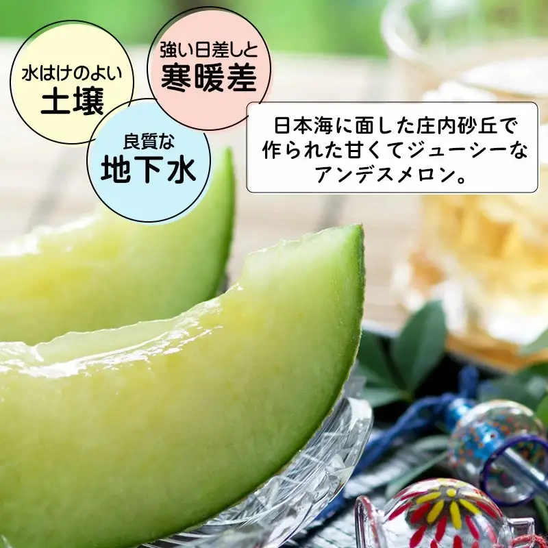 【令和9年産】 アンデスメロン 約5kg(3～5玉) 山形県鶴岡産 庄内砂丘メロン 白砂ファーム