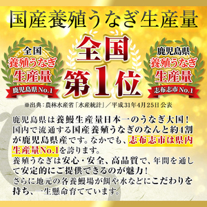 【数量限定】鹿児島県産！秘伝の特上スタミナうなぎ白焼き＜計3尾・計420g以上＞ b0-155
