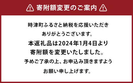 長崎県産 角煮家こじま特製の角煮まん 8個入り 長崎県ブランド イチオシ角煮まん認定品