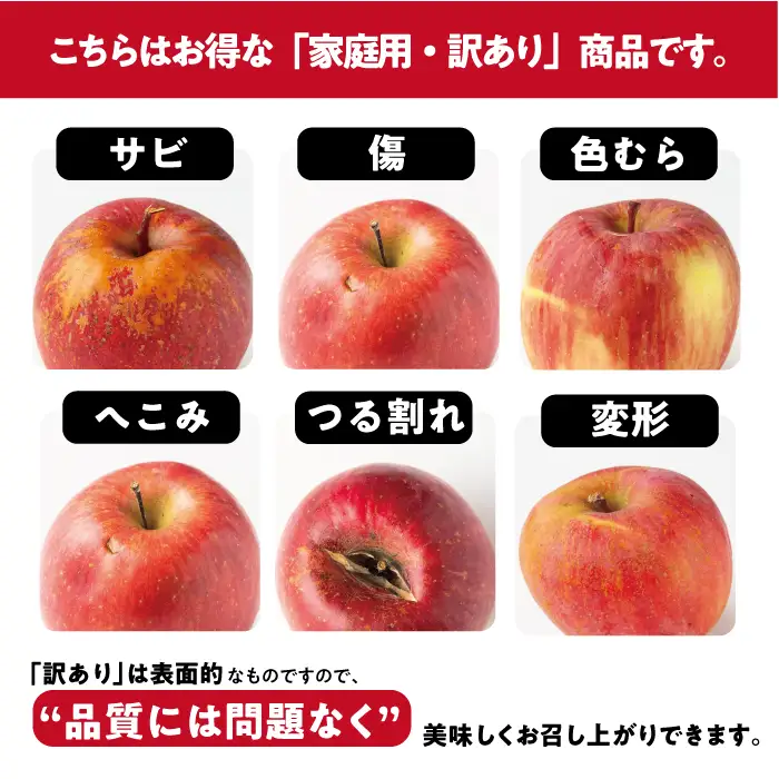 【 すっぱいりんご 】 りんご ブラムリー 訳あり 5kg 沖縄県への配送不可 クッキングアップル 2026年8月下旬頃から2026年9月下旬頃まで順次発送予定 ふるさと振興公社 リンゴ 林檎 長野県 飯綱町 [1561]