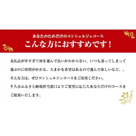 あなただけの プレミアム コンシェルジュ コース ( 200万円 )