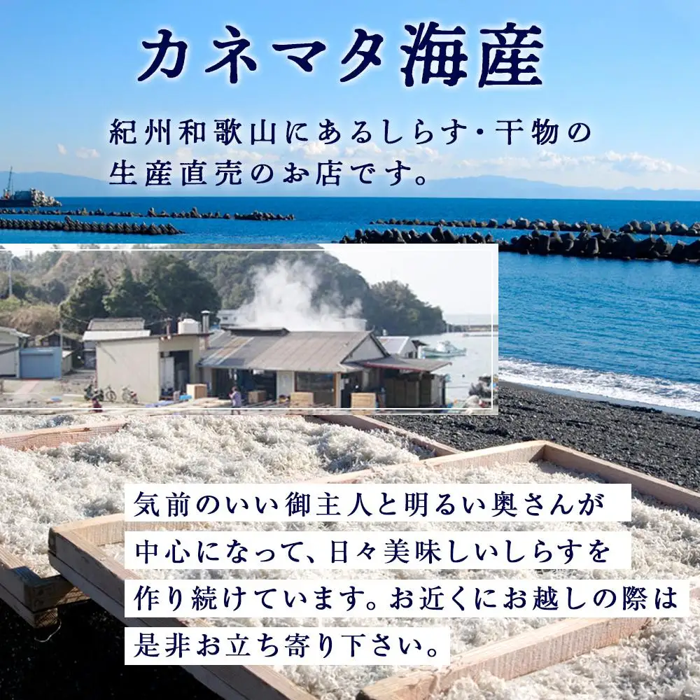 産地直送 ふっくら釜揚げ しらす 800g （ 冷蔵 ）