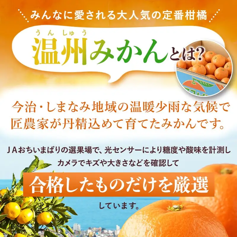 【先行予約】温州みかん4kg 愛媛県今治市