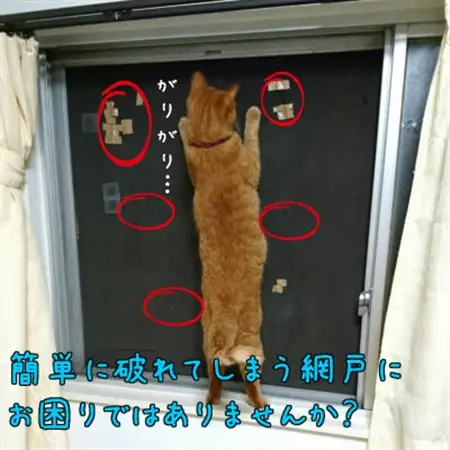SHINWAの猫マール32 猫用ステンレス製防虫網　【愛猫の爪対策品】_雑貨     雑貨・日用品  日用品 _【1394030】