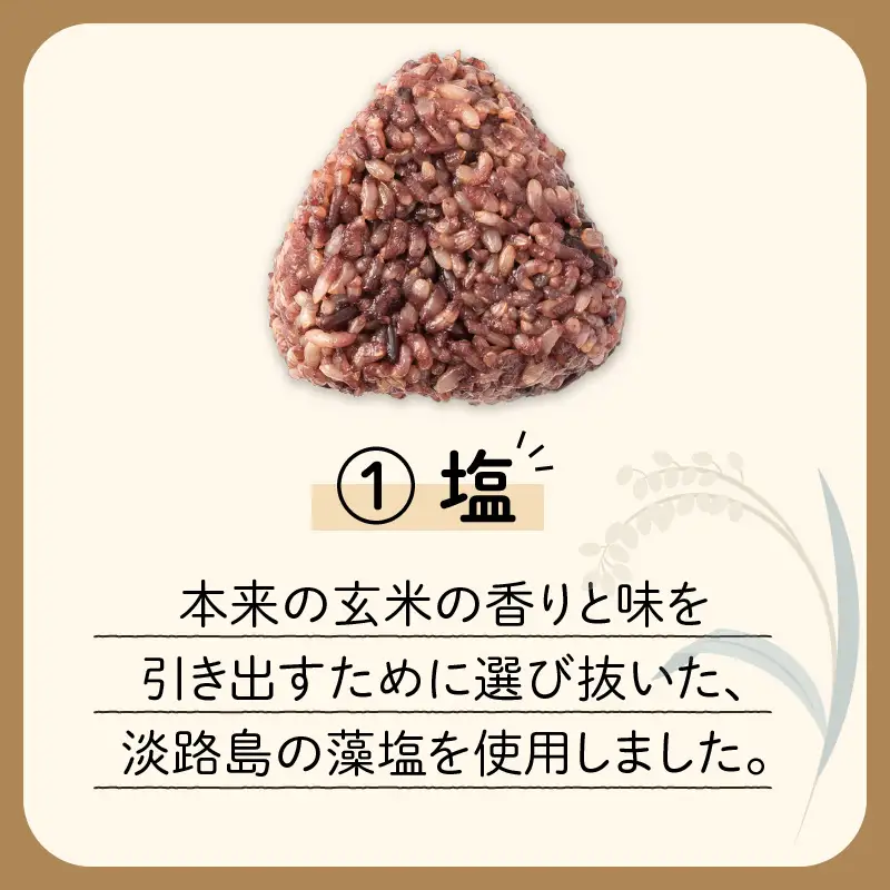 【7営業日以内に発送】2種から 選べる ！ 冷凍 玄米 おむすび 5個入り (1) 塩 K182-004_01 スピード配送 最短 すぐ届く お急ぎ