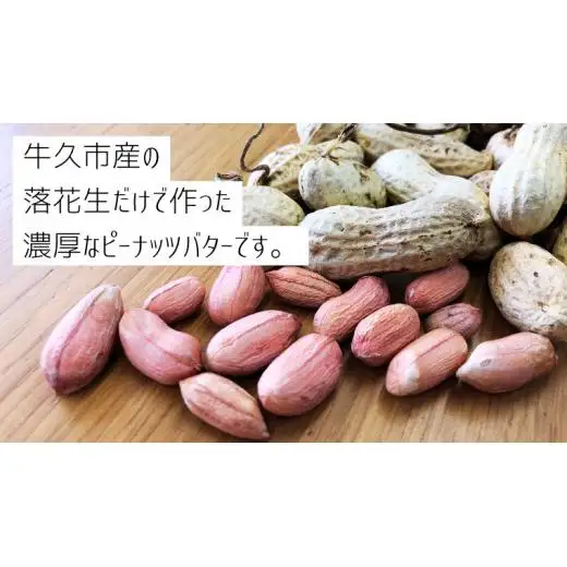 落花生 本来の味! 濃厚 ピーナッツ バター 110g × 2本セット