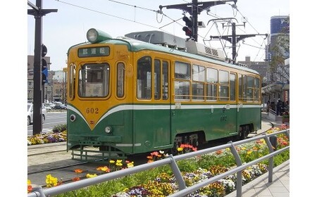 桜島火山灰製 600形電車（色付き） K074-001