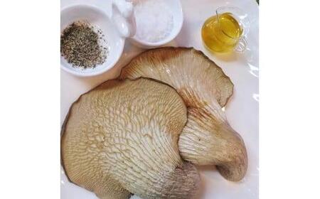 特選 竜王 足太あわび茸 ( 生 ) 700g 希少 足太あわび茸 きのこ キノコ 肉厚 国産 食材 健康 農薬不使用 竜王産 滋賀県 竜王町 送料無料 贈り物 ギフト 産地直送
