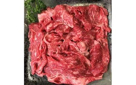 【近江牛 おうち焼肉と切落しセット 1kg】肉 牛肉 ブランド牛 三大和牛 和牛 黒毛和牛 焼肉 バーベキュー お弁当 おかず お惣菜 贈り物 ギフト プレゼント 冷凍 滋賀県 竜王