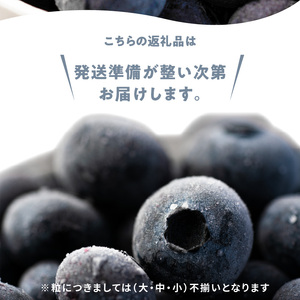 冷凍ブルーベリー 250g×4パック×2箱 合計2kg 北海道産 甘くてジューシー 余市産 冷凍 栄養価 冷凍フルーツ 果物__Y010-0345