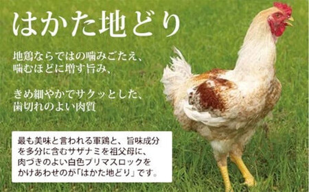 「はかた地どり」 博多水炊き・やまや明太子セット（2～3人前）博多地鶏