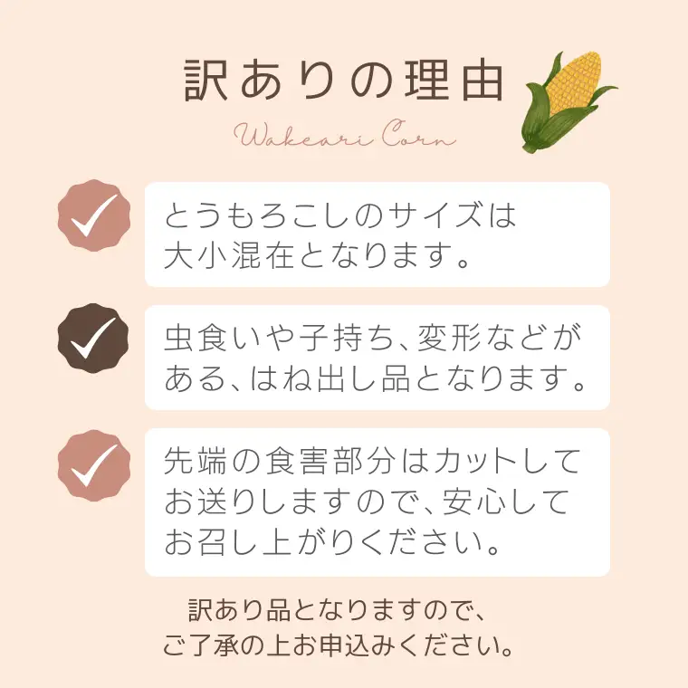 とうもろこし おおもの 6kg 訳あり 農家直送 朝採り【 先行予約2026年7月中旬発送】
