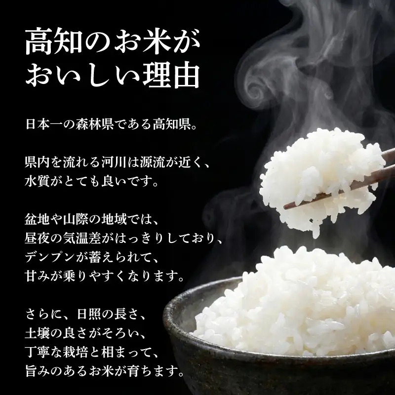令和8年産 よさ恋美人 10kg 白米
