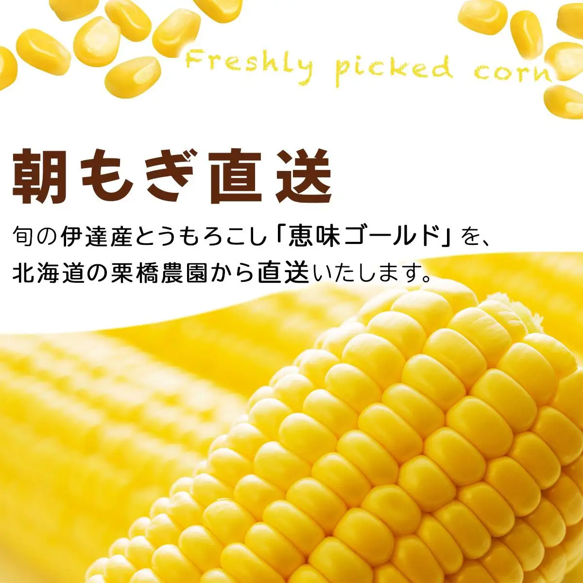 【 2027年先行予約】北海道 朝もぎ とうもろこし 恵味 ゴールド L-LLサイズ 20本【55250829】