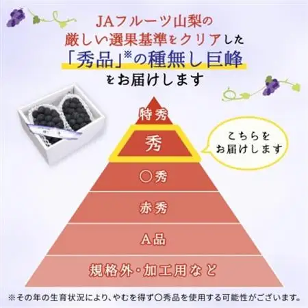 種なし巨峰(2房)【配送不可地域：離島】【1300007】