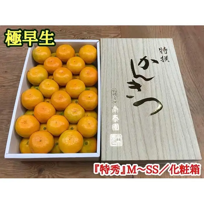 定期便 有田みかん 食べくらべ 3種 化粧箱 各約 3kg 南泰園 全3回 2026年 10月 発送開始 みかん