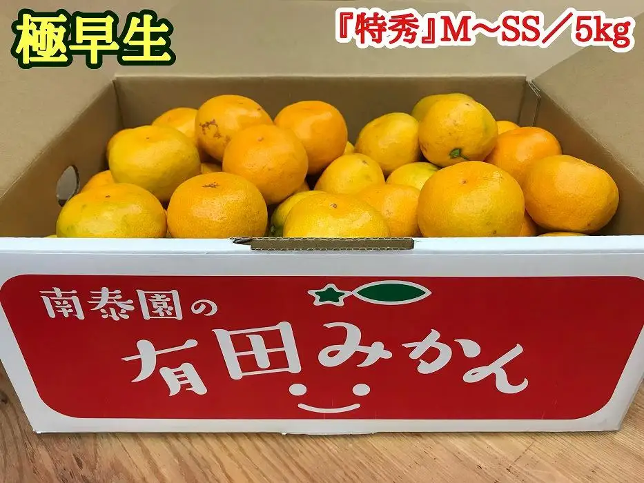 定期便 有田みかん 食べくらべ 3種 特秀 各 5kg コース 全3回 南泰園 みかん