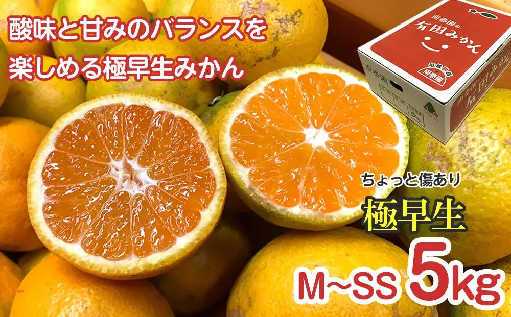 定期便 ちょっと 傷あり 5kg ×3 回 コース 有田みかん 食べくらべ 3種 全3回 南泰園 みかん