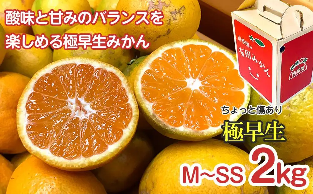 定期便 ちょっと 傷あり 2kg × 3回 コース 有田みかん 食べくらべ 3種 全3回 南泰園 みかん