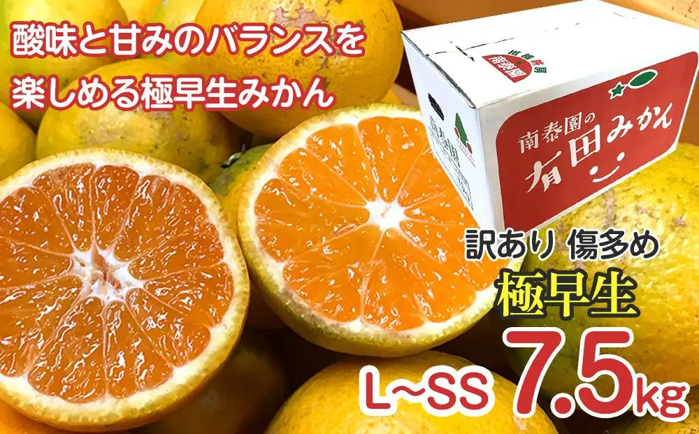 定期便 訳あり 傷多め 7.5kg × 3回 コース 有田みかん 食べくらべ 3種 全3回 南泰園 みかん