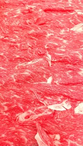 近江牛 切落し 450g (箱なしエコ包装) いろは精肉店 滋賀県 東近江市 A-B13 近江牛 牛肉 黒毛和牛 A5 A4 切り落とし 切落し 訳あり ブランド牛 牛丼 肉 すき焼き