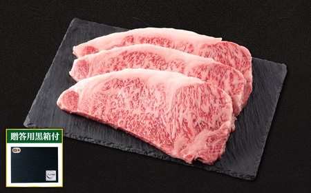 近江牛サーロインステーキ250g×3枚 (贈答用黒箱) いろは精肉店 滋賀県 東近江市 AO12 近江牛 サーロイン ステーキ 250g 3枚 牛肉 和牛