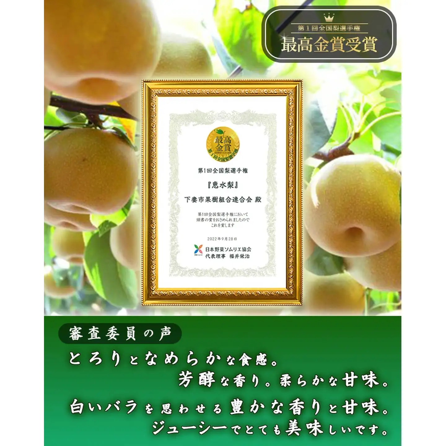 梨 先行予約 恵水 5kg（7〜10玉）　 梨
