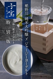SA1775　酒田の酒屋厳選　子宝リキュール ヨー子　720ml×1本