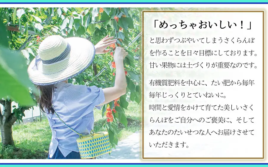 さくらんぼ 佐藤錦 バラ詰め L～2Lサイズ 1kg(500g×2) 山形県鶴岡市産 令和9年産 フルーツガーデン